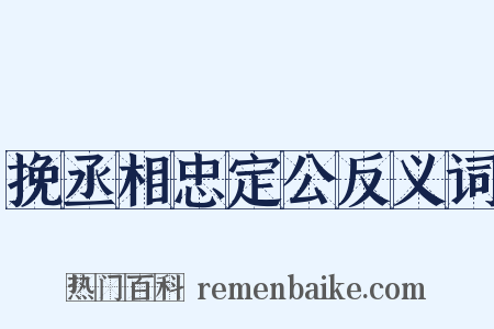 挽丞相忠定公反义词是什么意思的图片